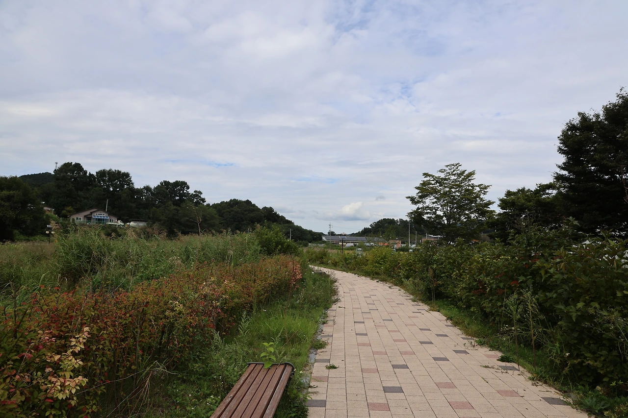 0R5A7765_новый размер.JPG