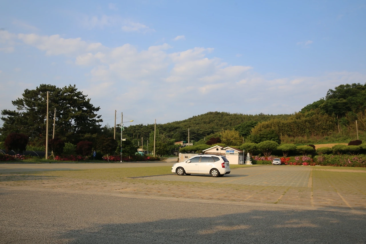 MG0A1965_новый размер.JPG