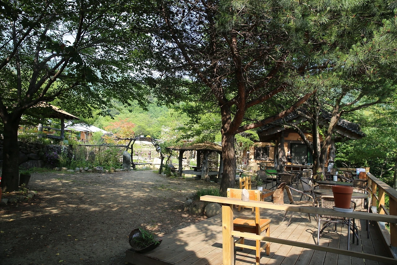 MG0A9802_новый размер.JPG