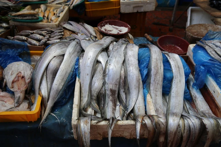 99DA1D4C5B6AD8211915B4