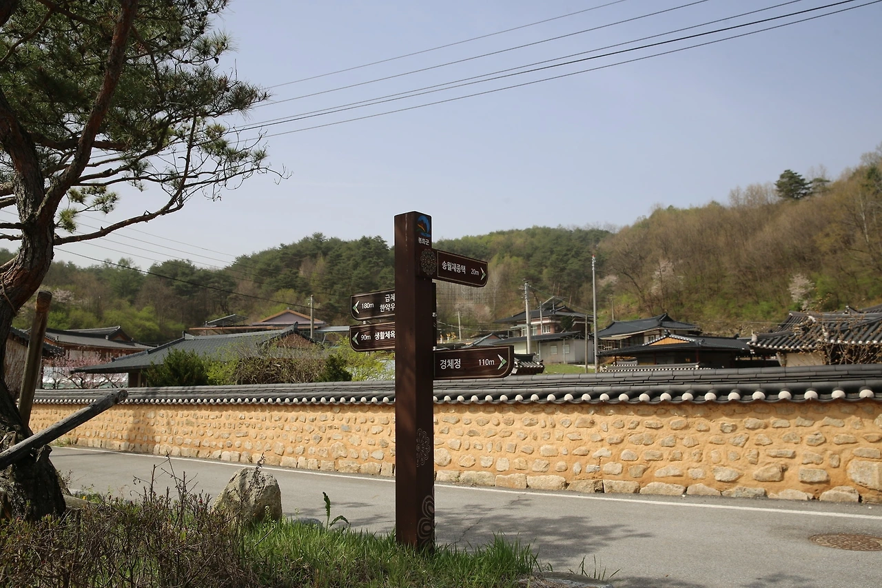 MG0A0101_новый размер.JPG