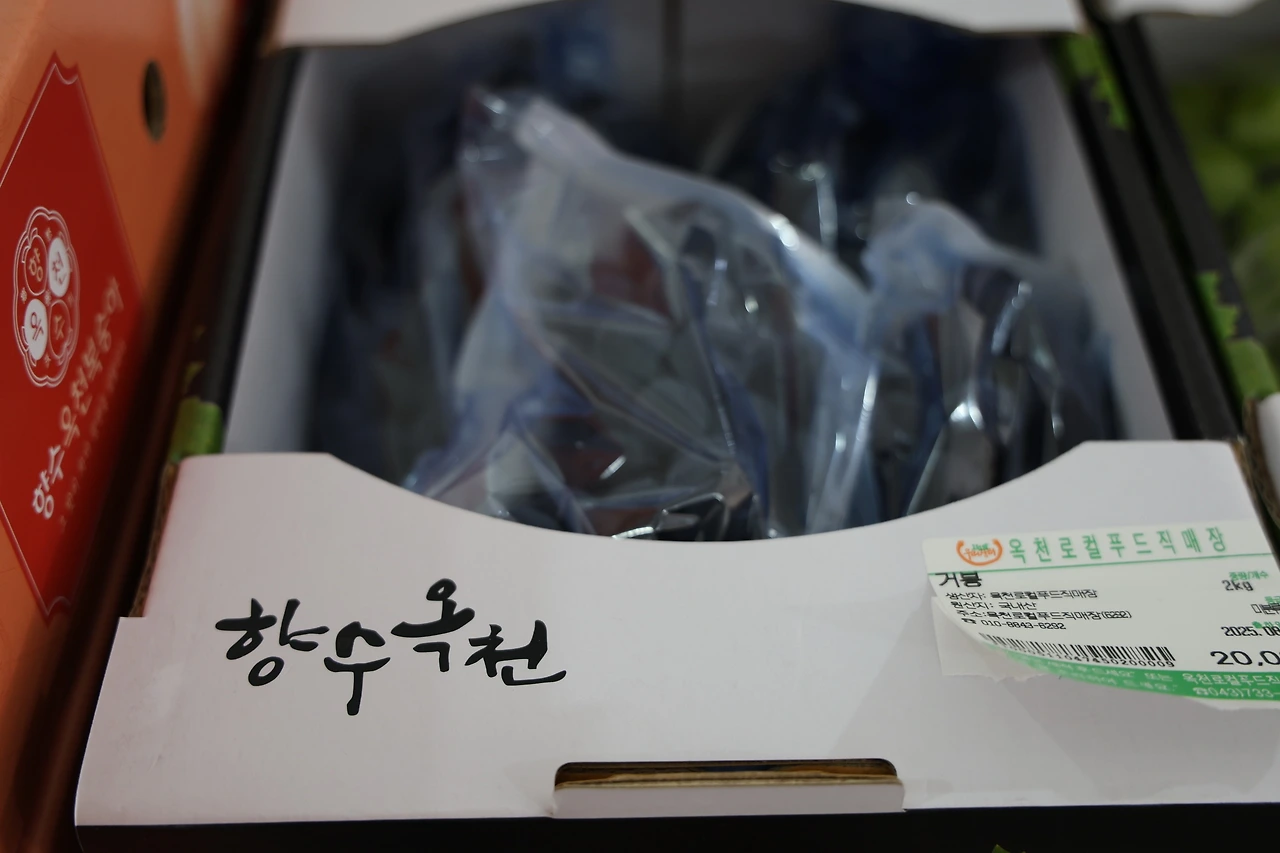 0R5A0290_новый размер.JPG