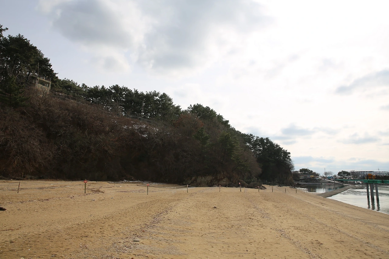 MG0A1263_новый размер.JPG