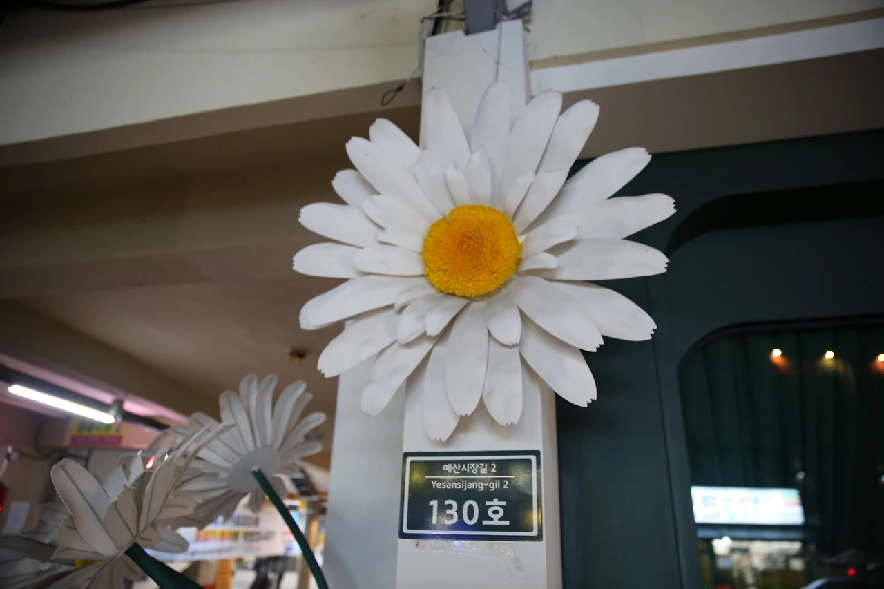 MG0A5933_новый размер.JPG