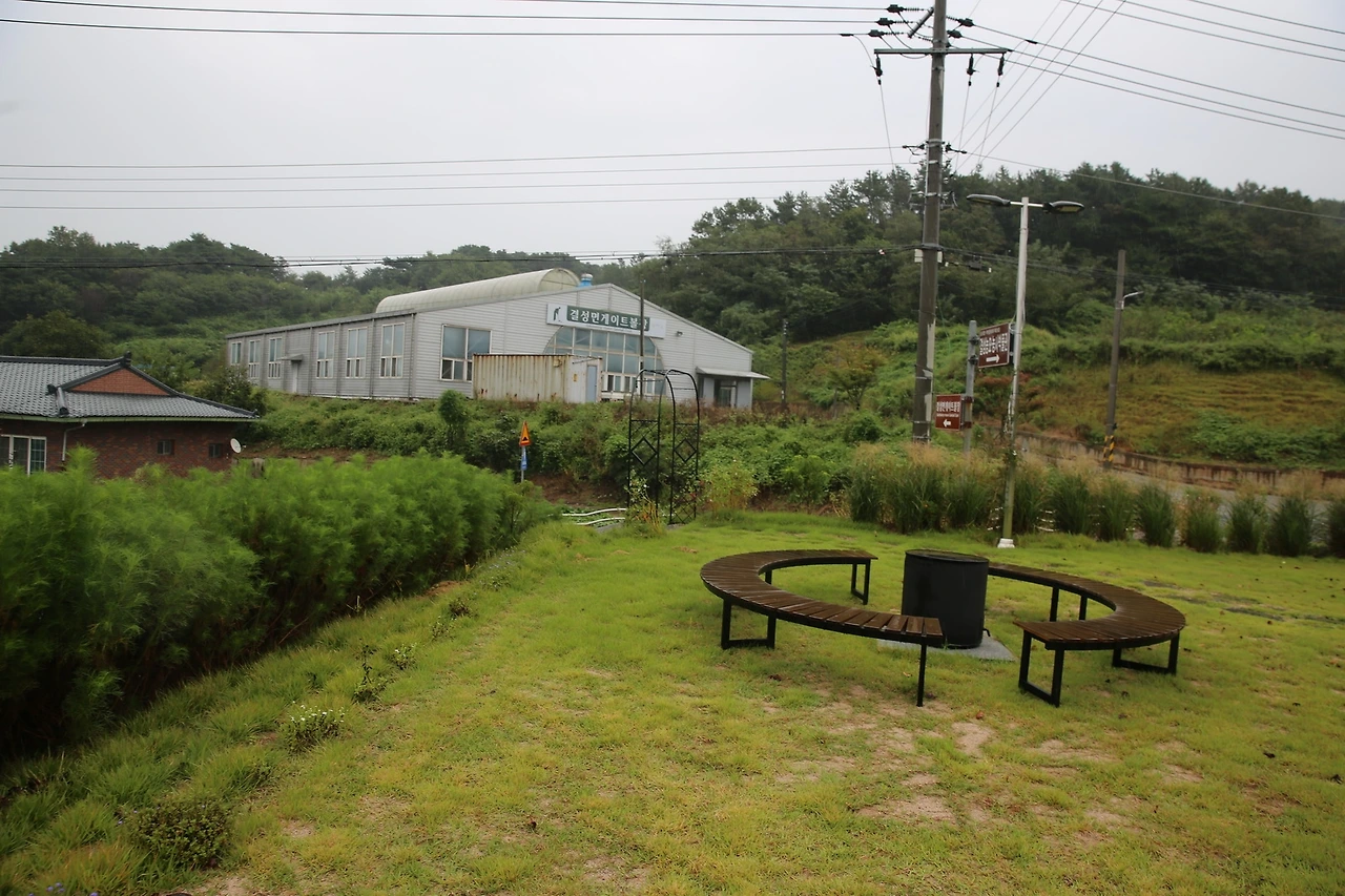 MG0A1791_новый размер.JPG