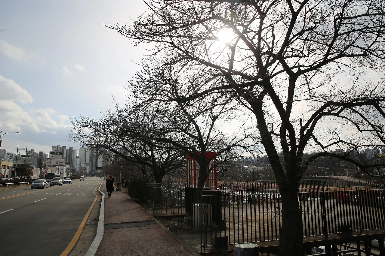 MG0A1931_новый размер.JPG