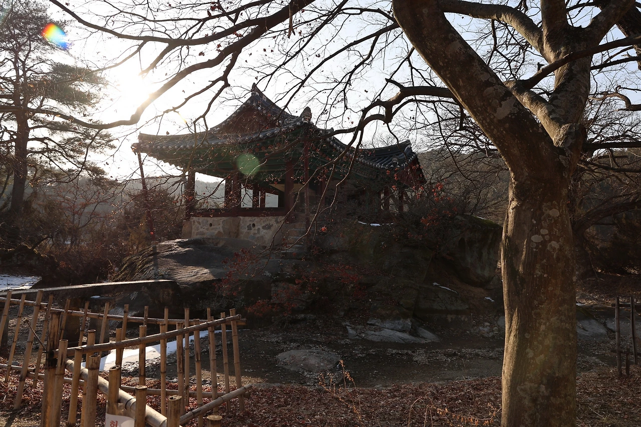 0R5A9272_новый размер.JPG