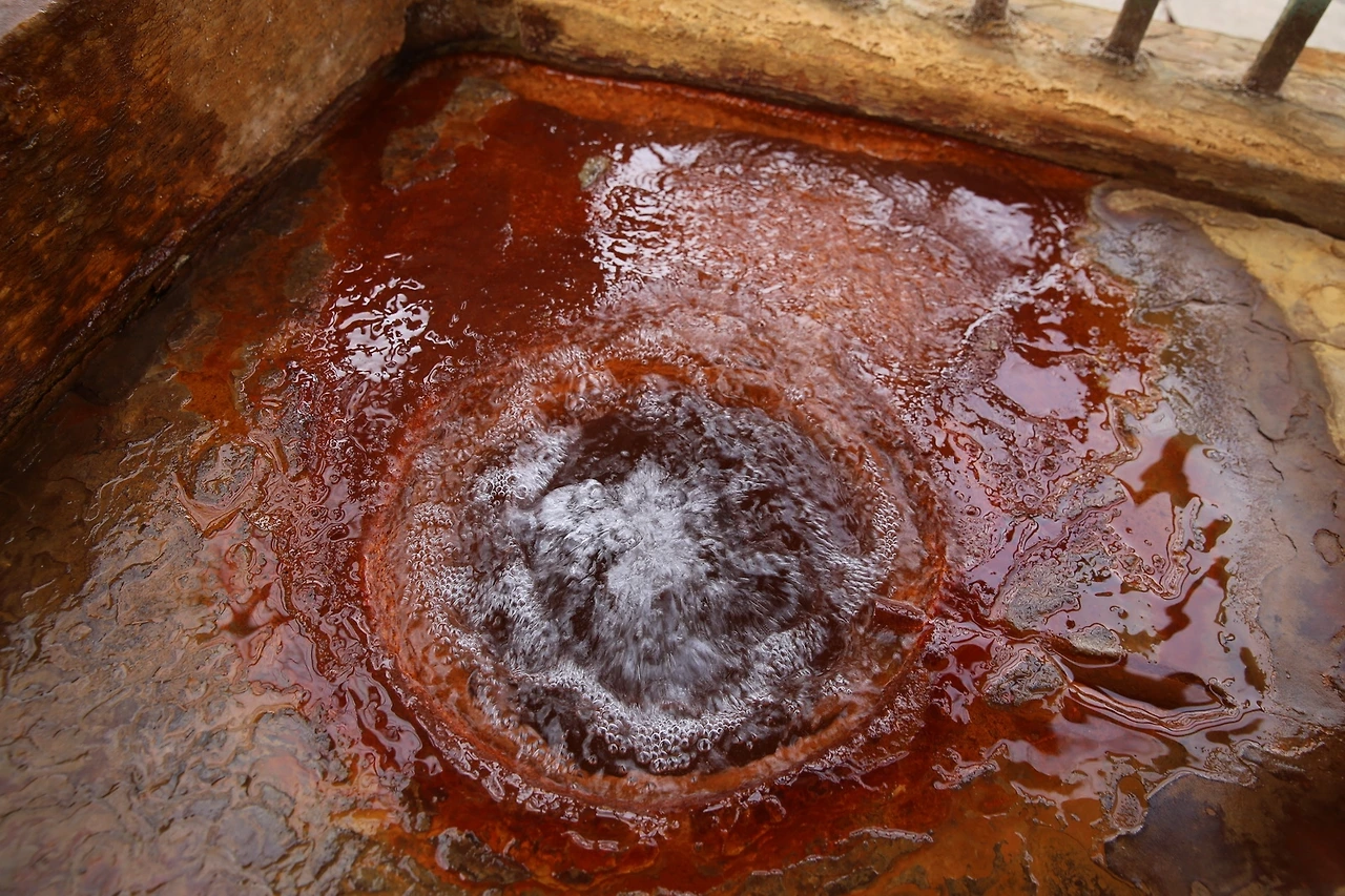 MG0A2730_новый размер.JPG