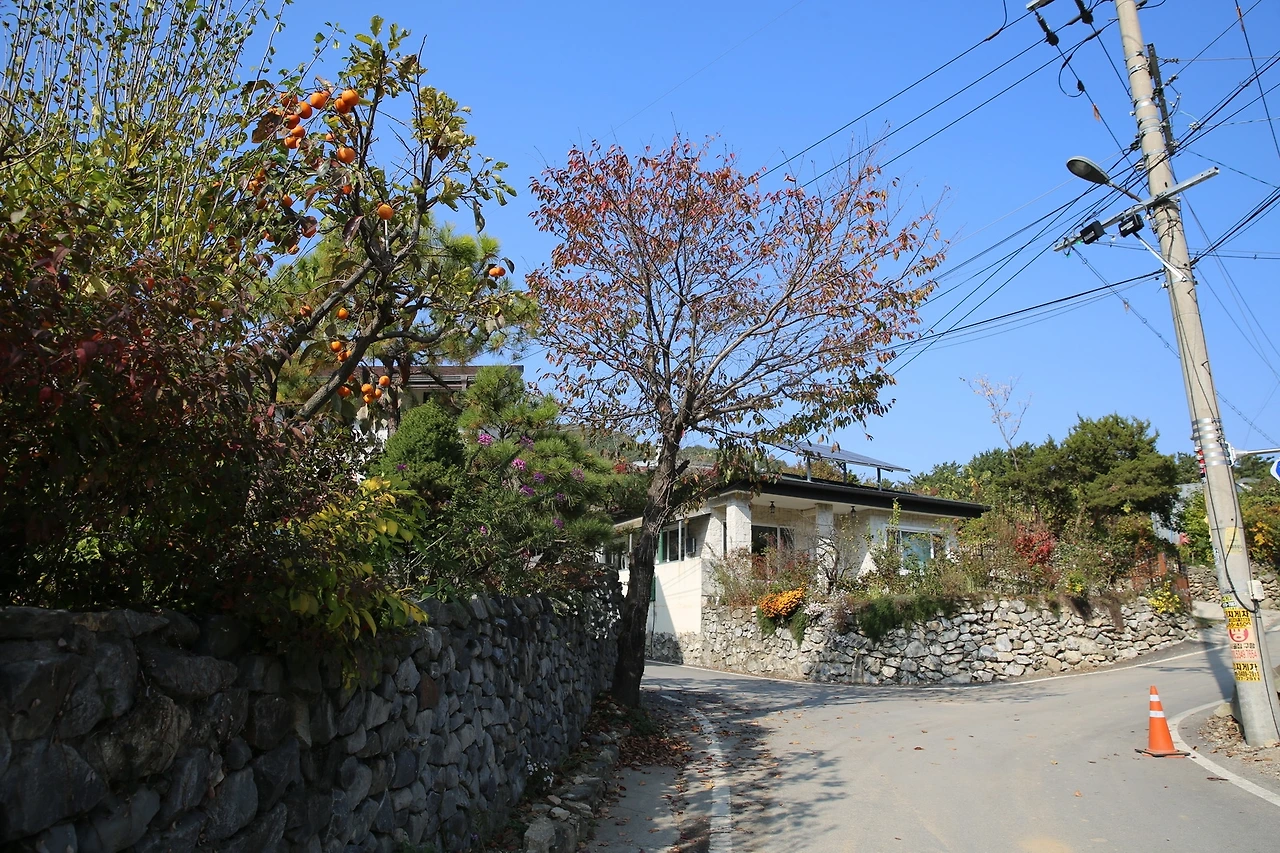 MG0A9120_новый размер.JPG