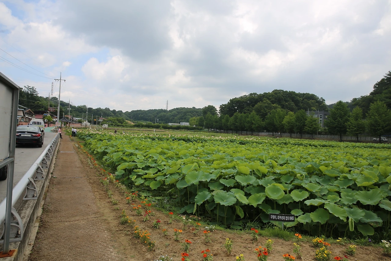 MG0A2710_новый размер.JPG