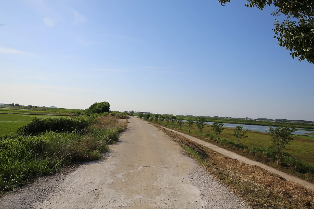 MG0A9070_новый размер.JPG