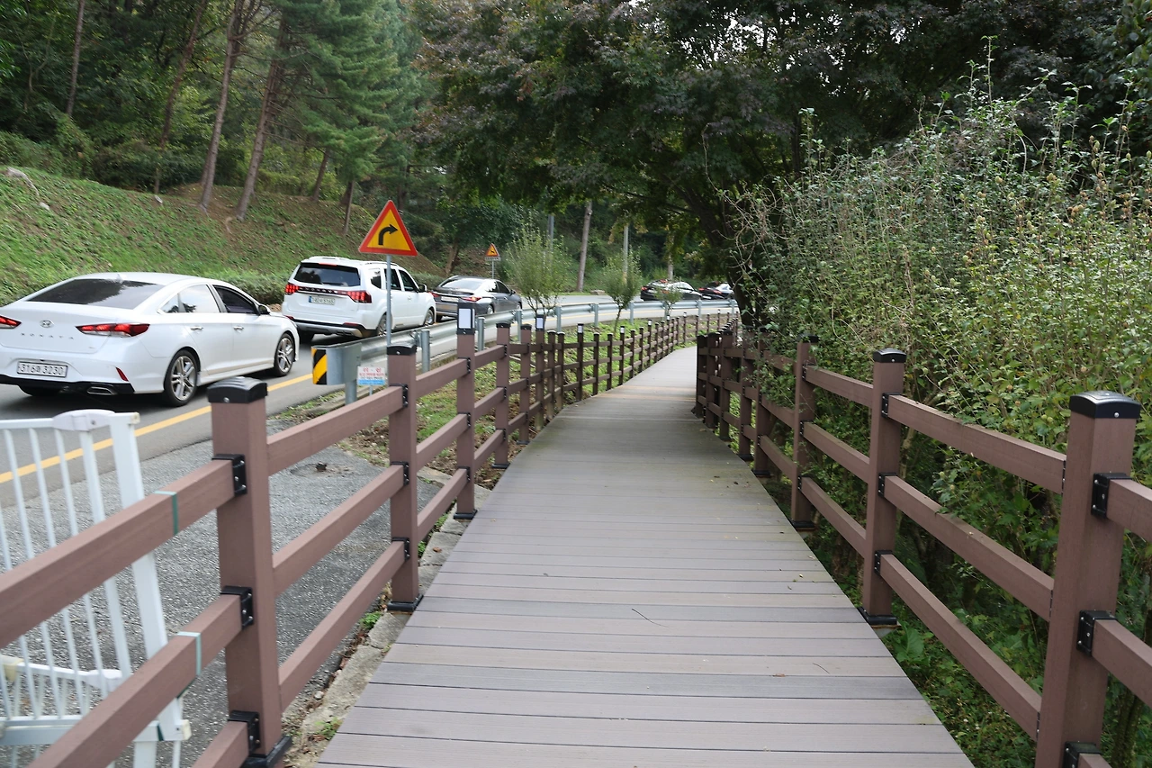 0R5A1309_новый размер.JPG