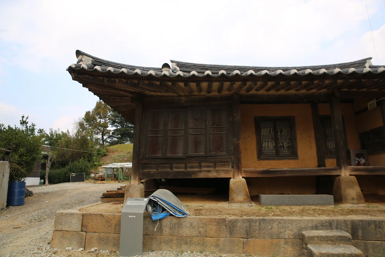 MG0A7581_новый размер.JPG