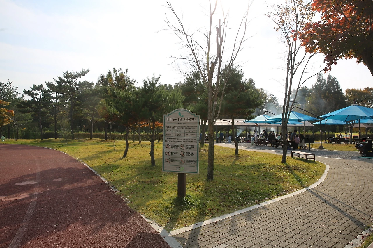 MG0A9667_новый размер.JPG