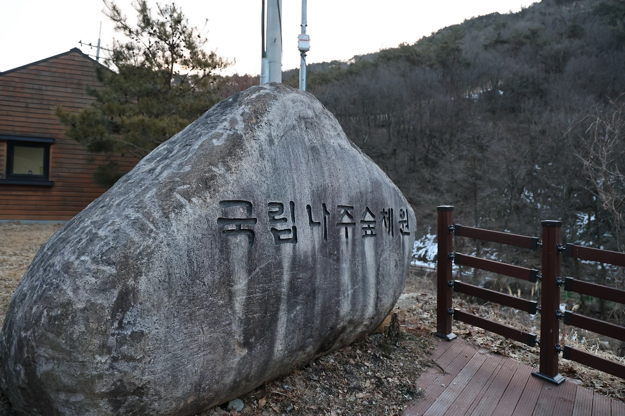 0R5A0031_новый размер.JPG