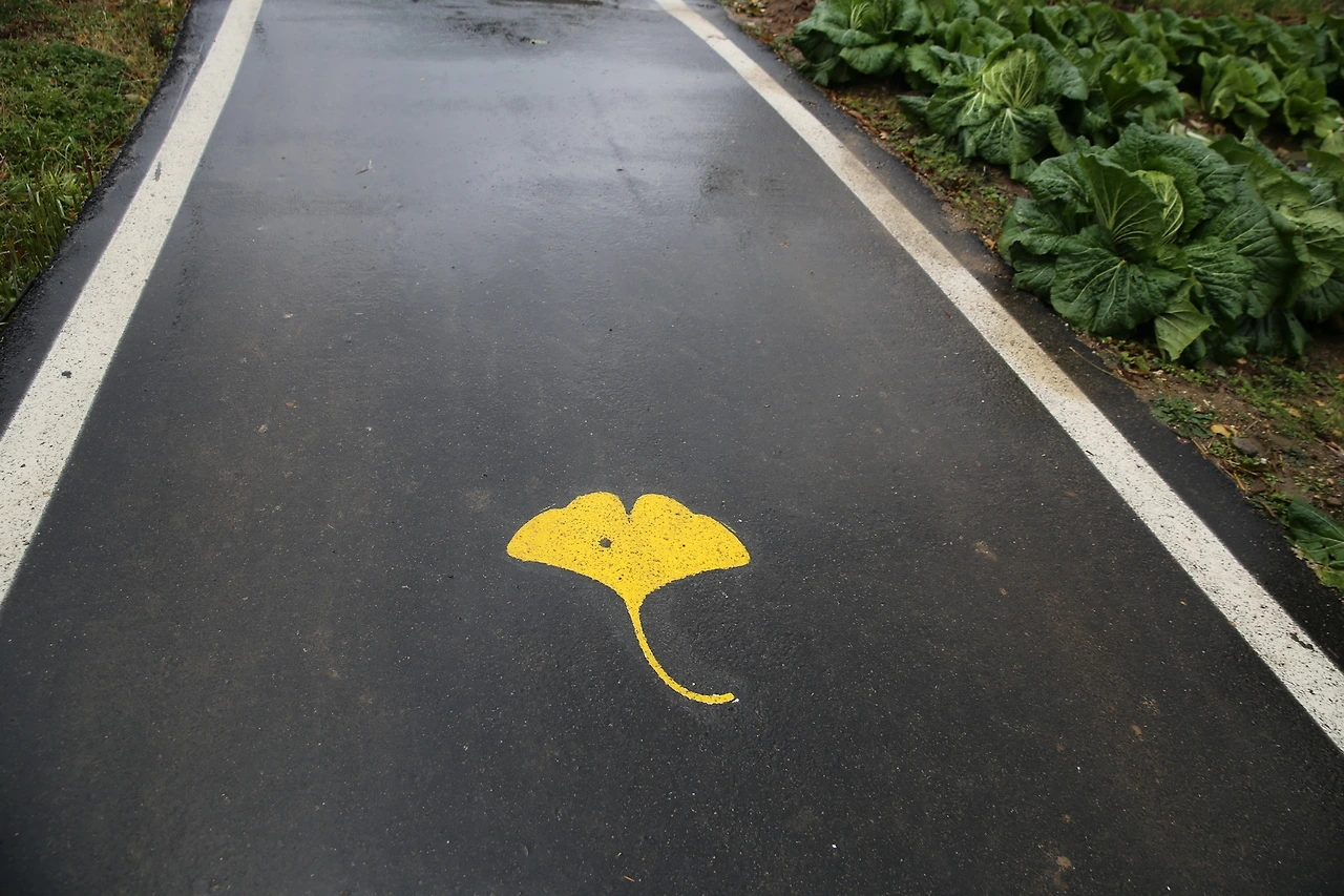 MG0A0866_новый размер.JPG