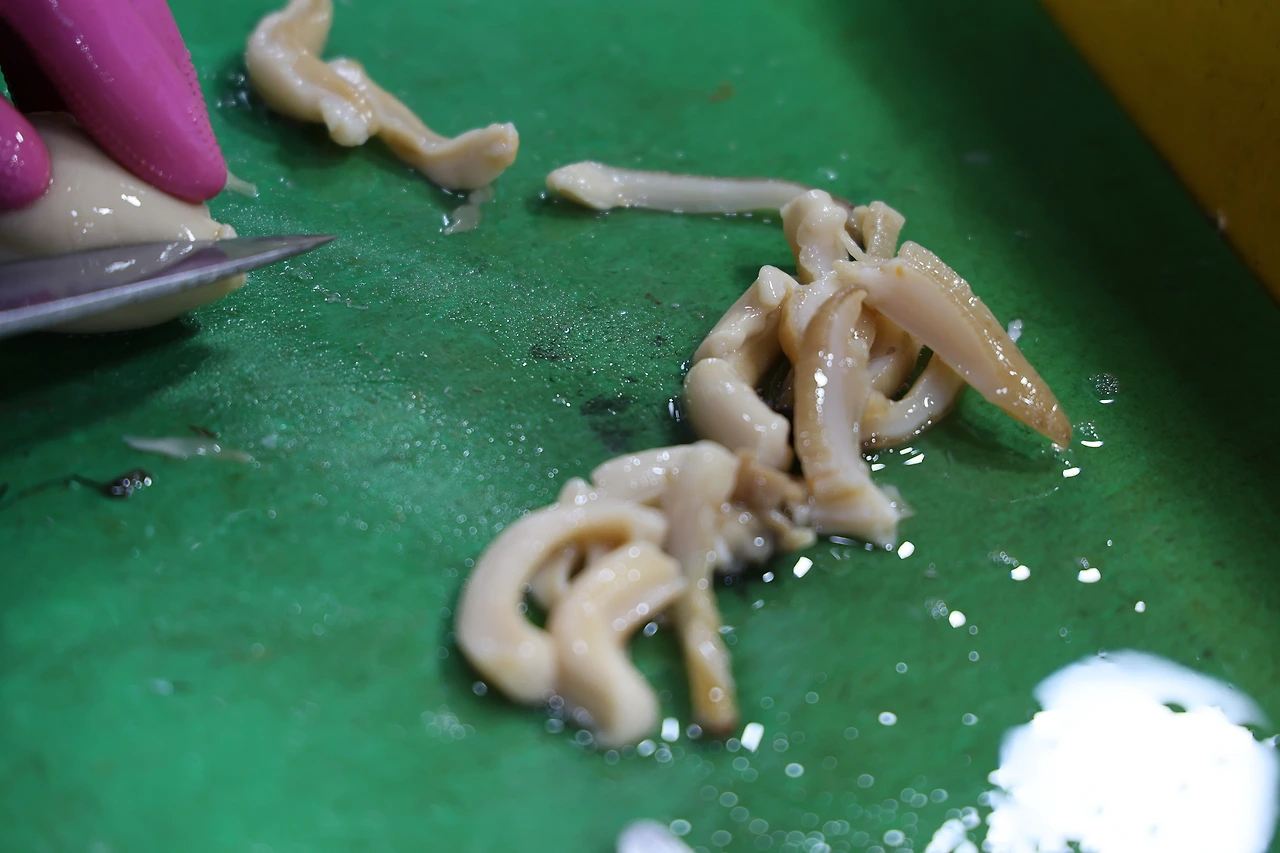 0R5A4304_новый размер.JPG