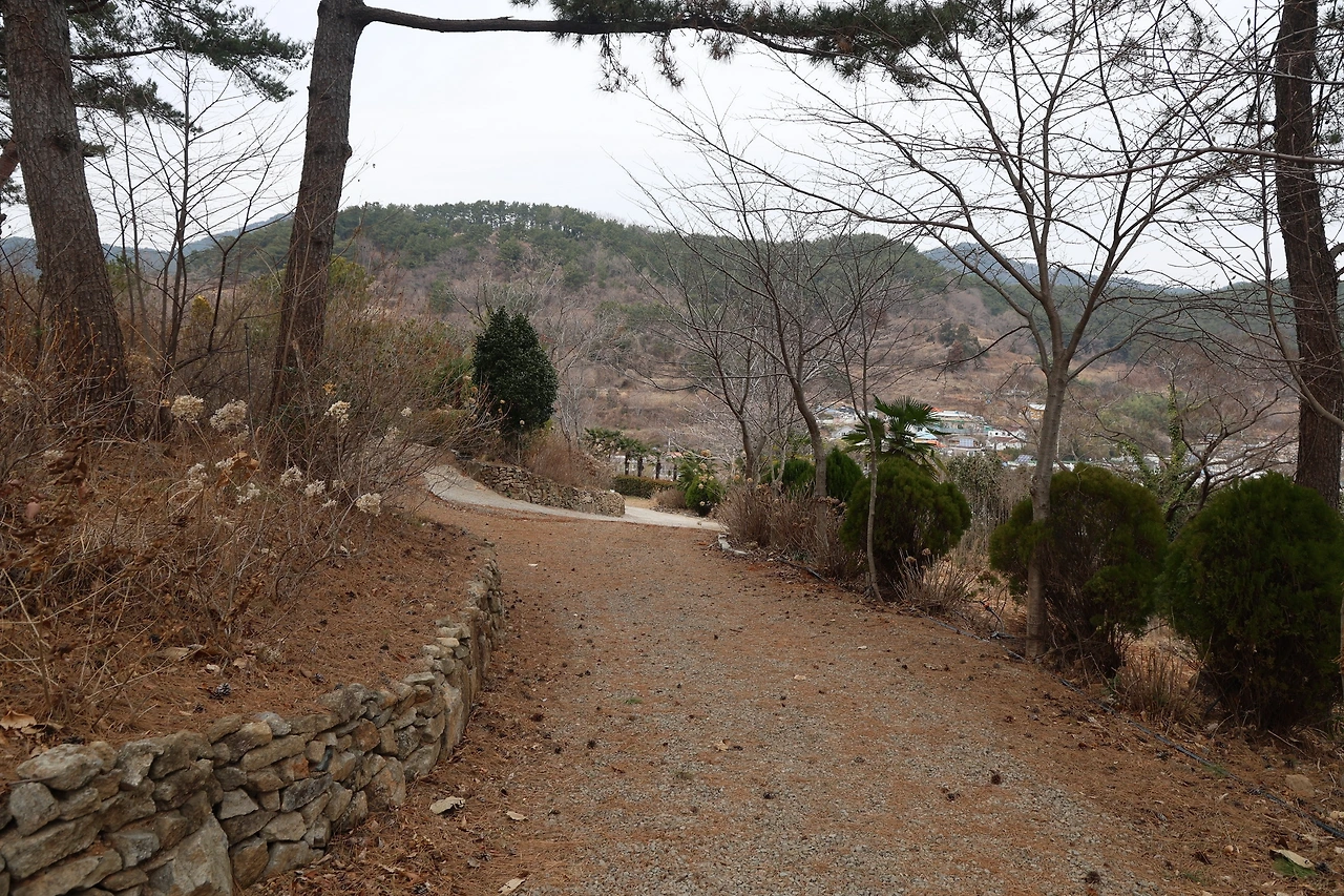 0R5A2327_новый размер.JPG