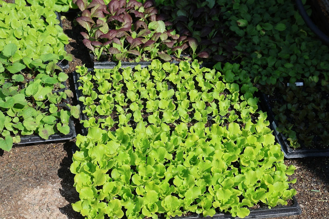 0R5A6412_новый размер.JPG