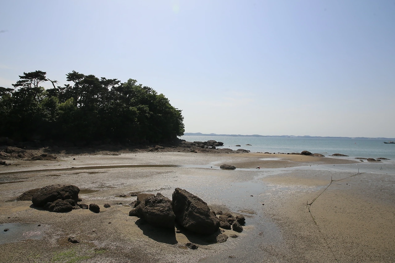 MG0A3927_новый размер.JPG