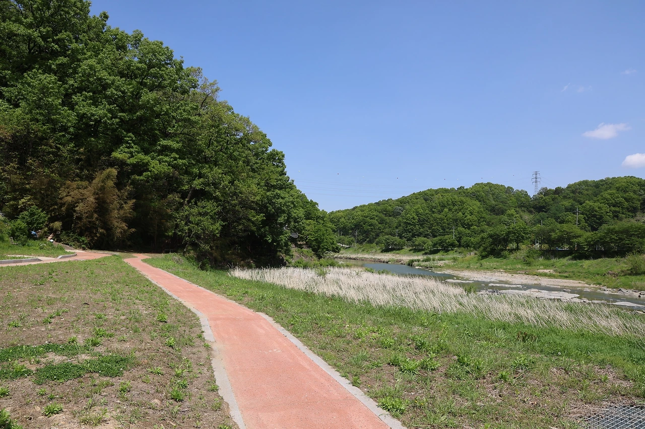 0R5A9915_новый размер.JPG