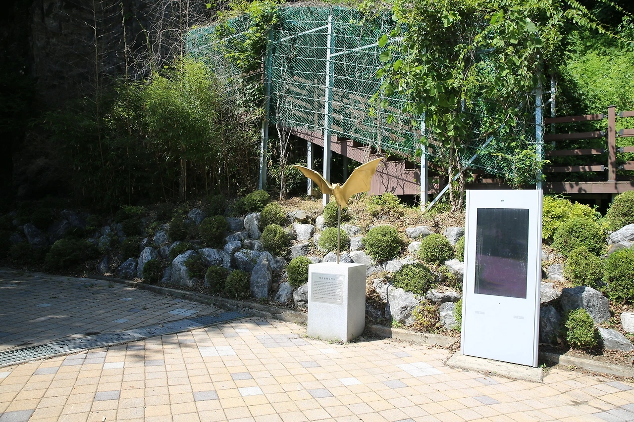 MG0A7953_новый размер.JPG