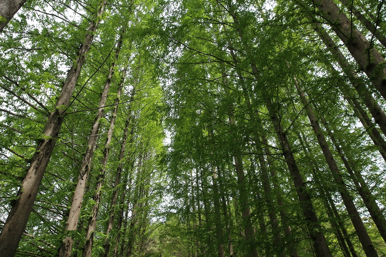 MG0A1125_новый размер.JPG