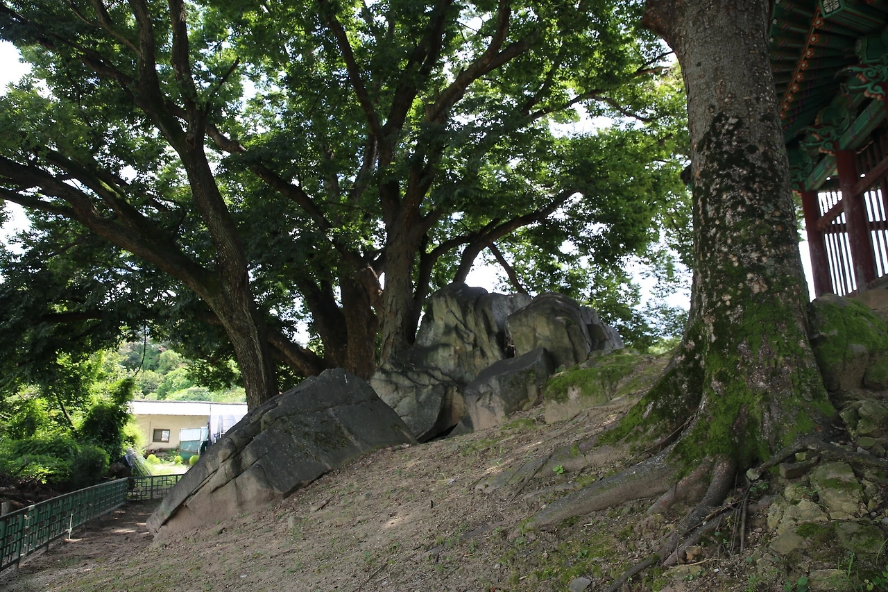 MG0A7860_новый размер.JPG