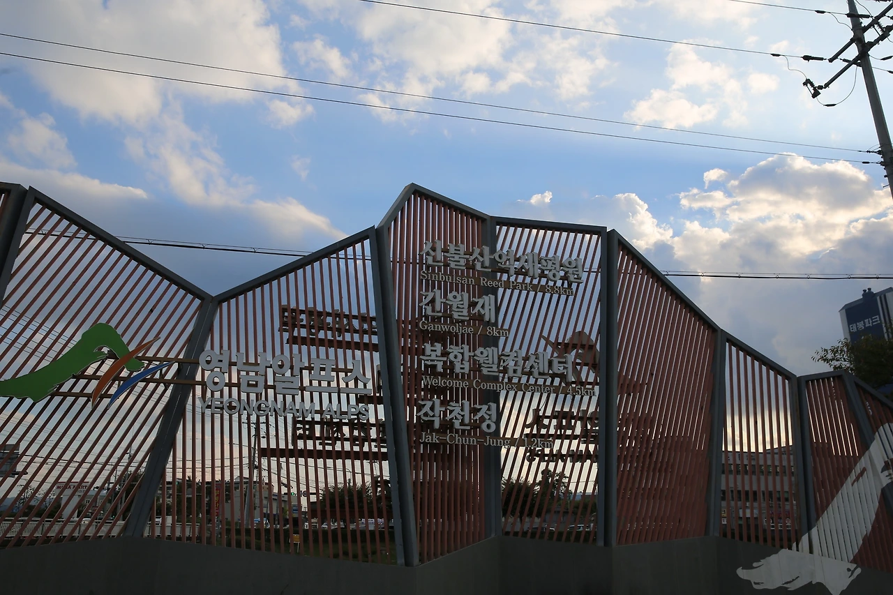 MG0A4411_новый размер.JPG