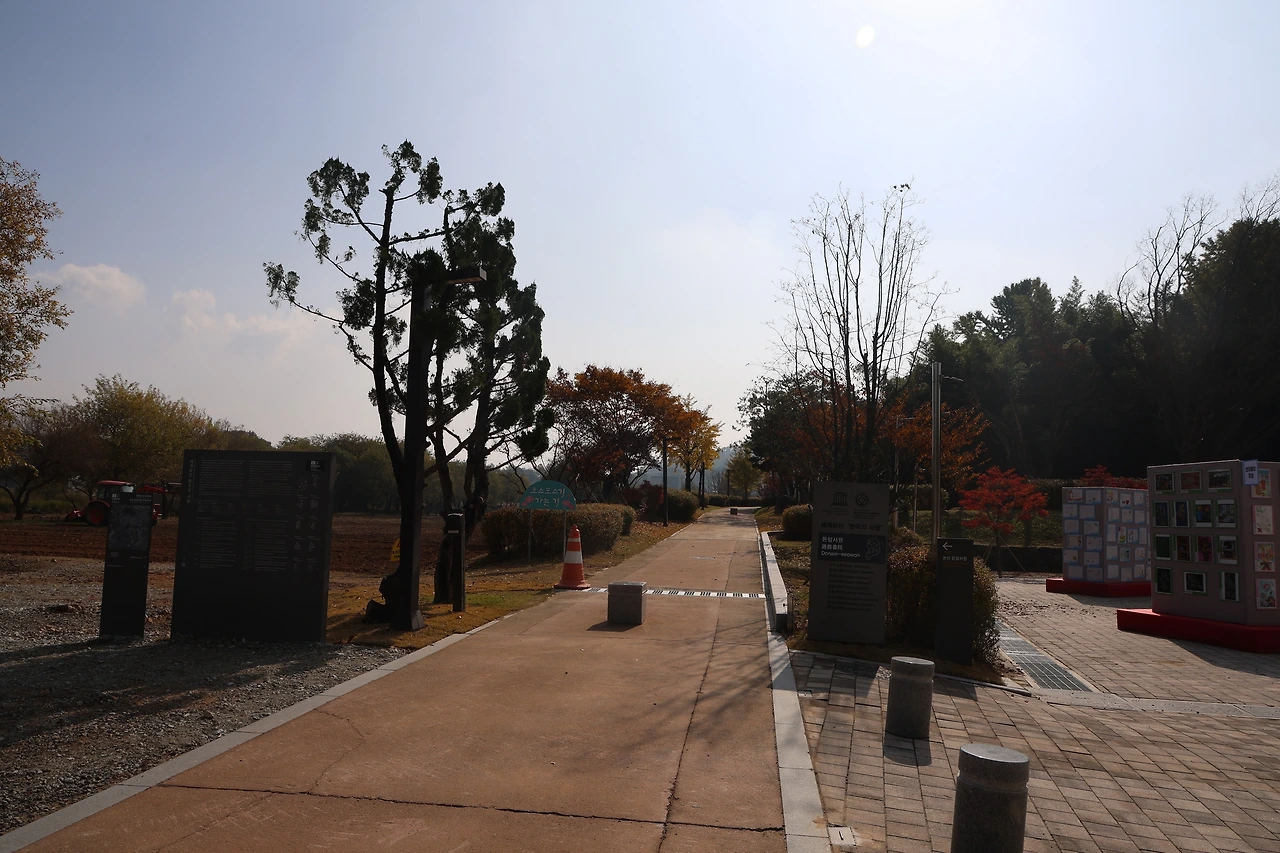 0R5A2320_новый размер.JPG