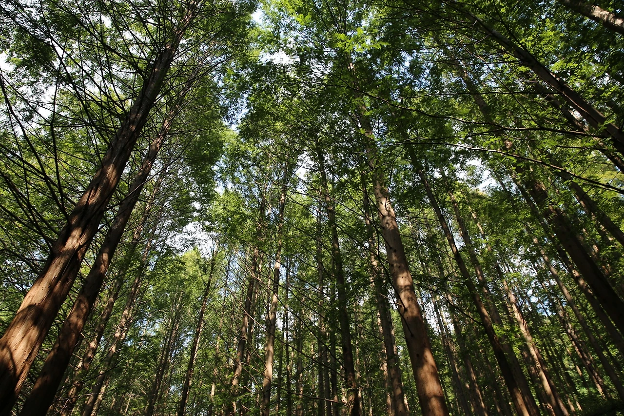 MG0A1529_новый размер.JPG