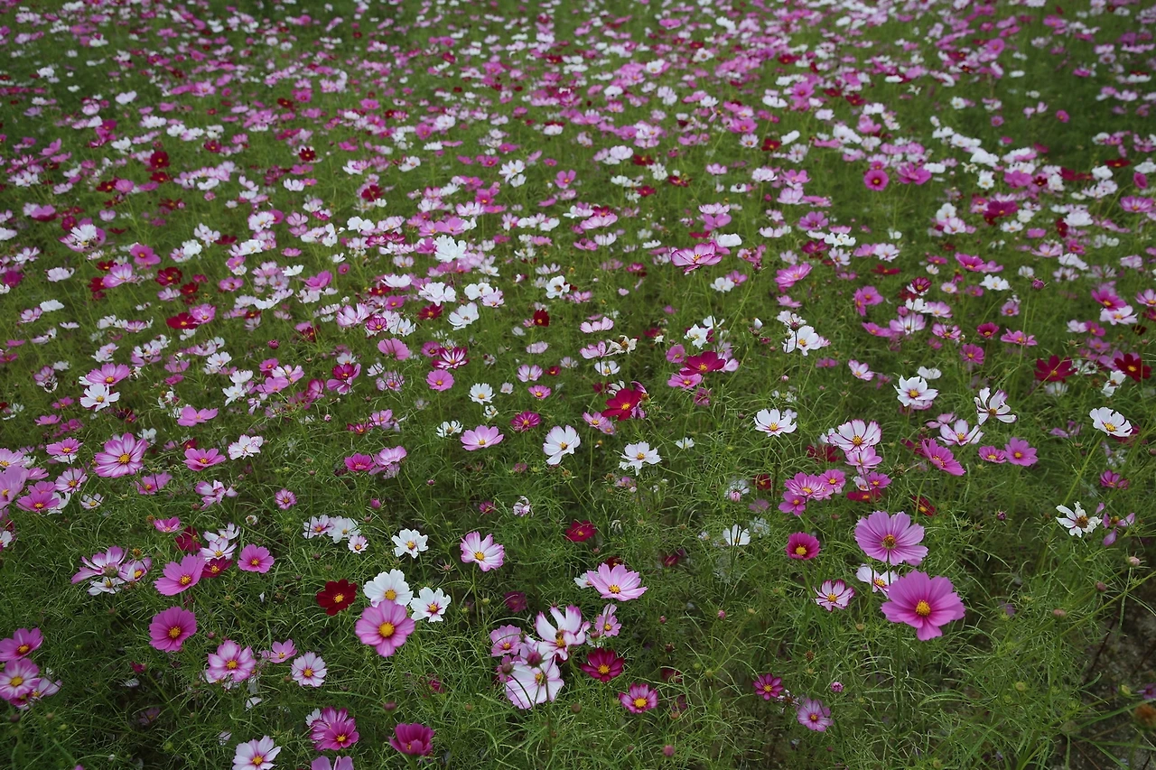 MG0A5098_новый размер.JPG