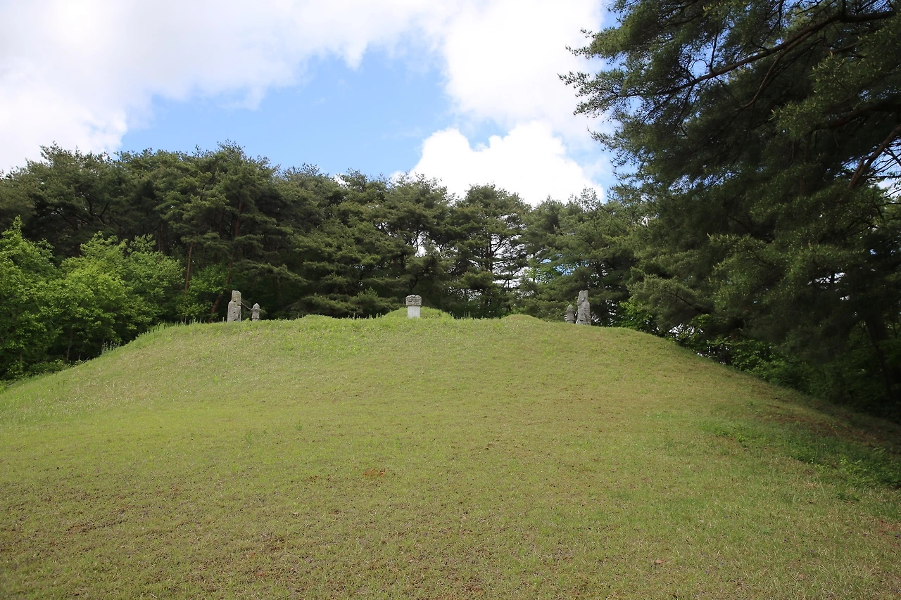 MG0A0753_новый размер.JPG