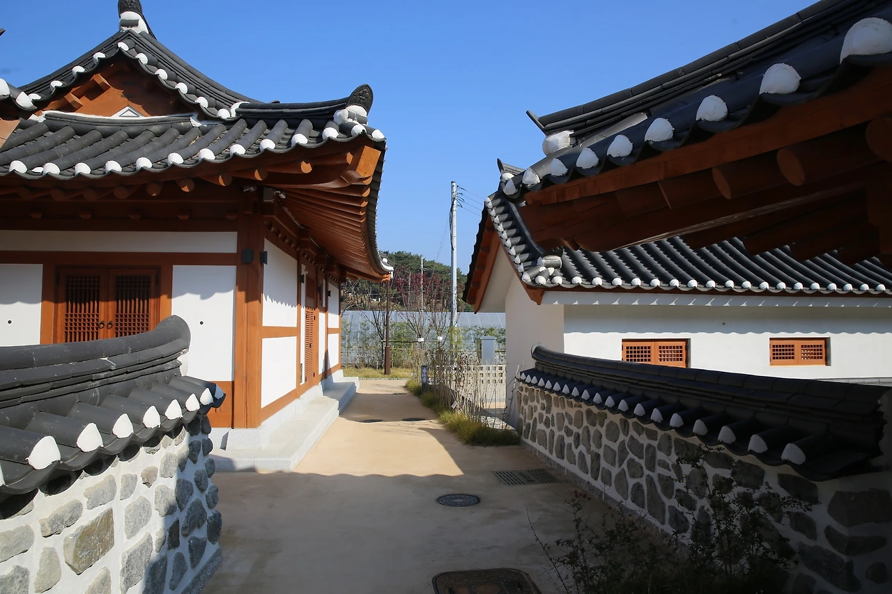 MG0A9867_новый размер.JPG