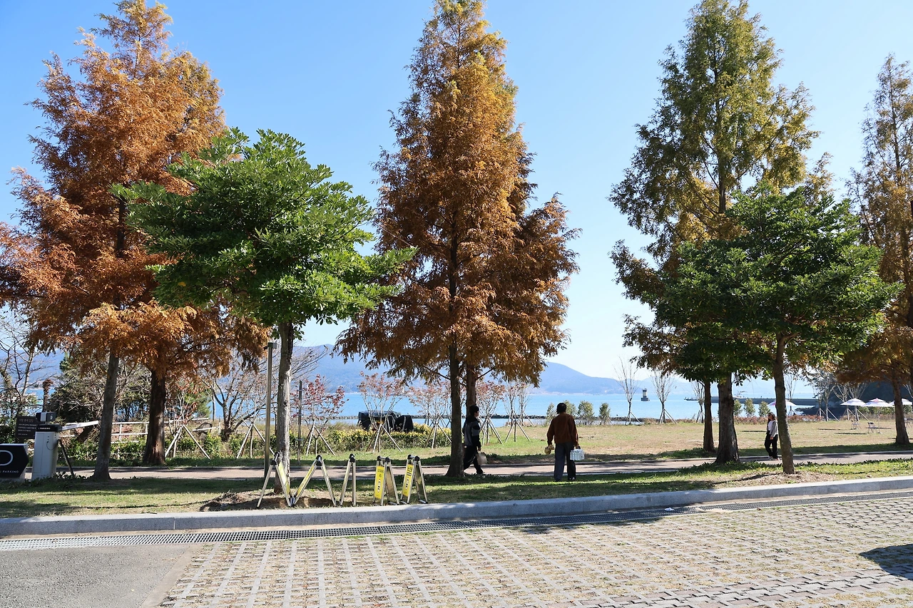 0R5A2709_новый размер.JPG