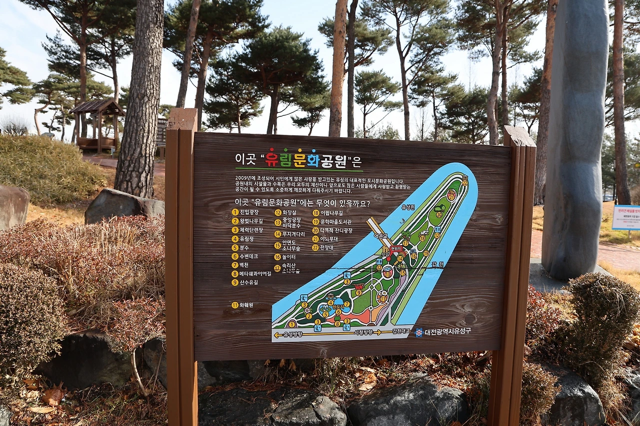 0R5A0088_новый размер.JPG