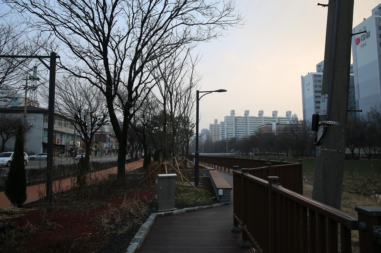 MG0A5591_новый размер.JPG