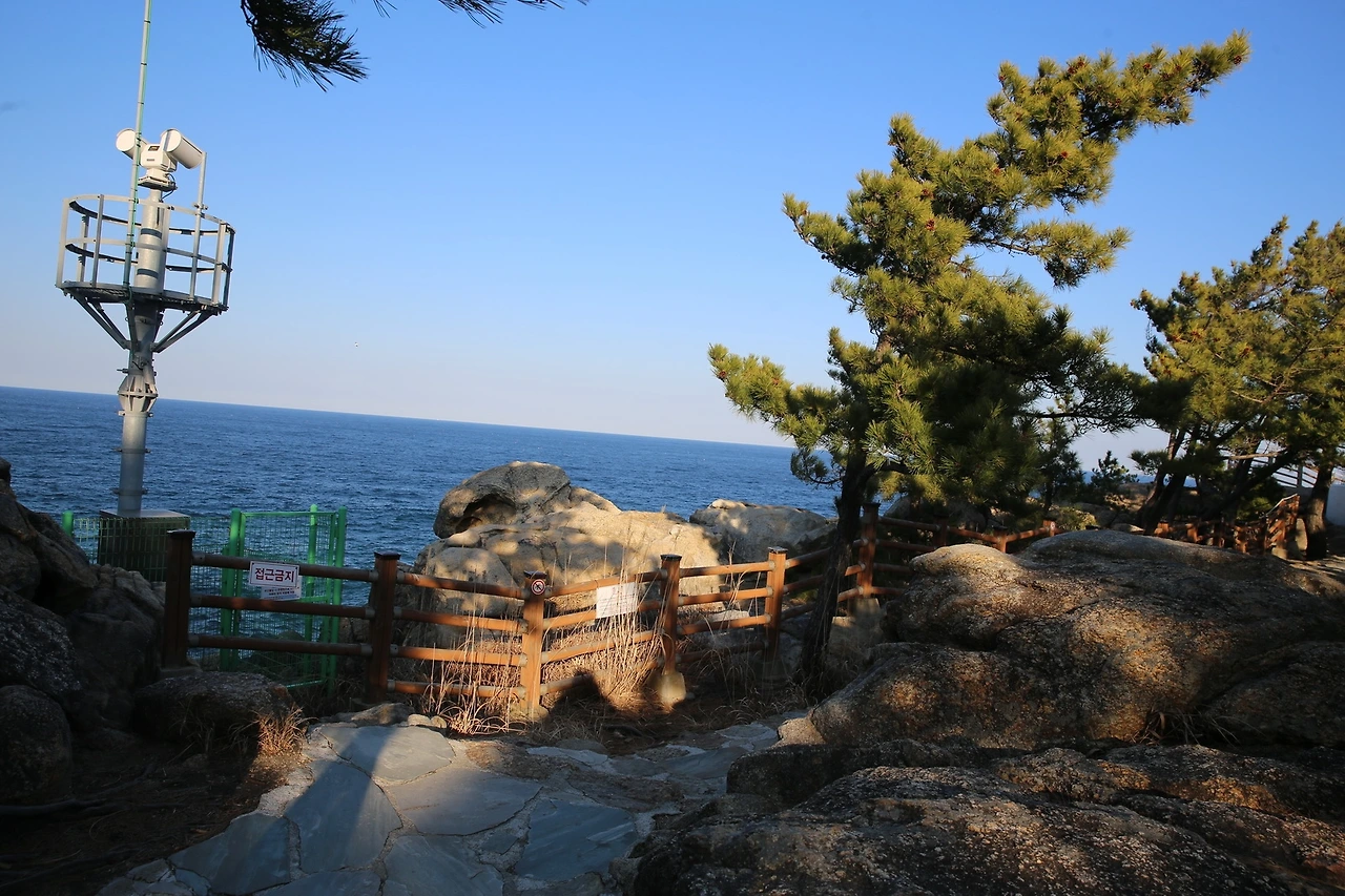 MG0A6635_новый размер.JPG