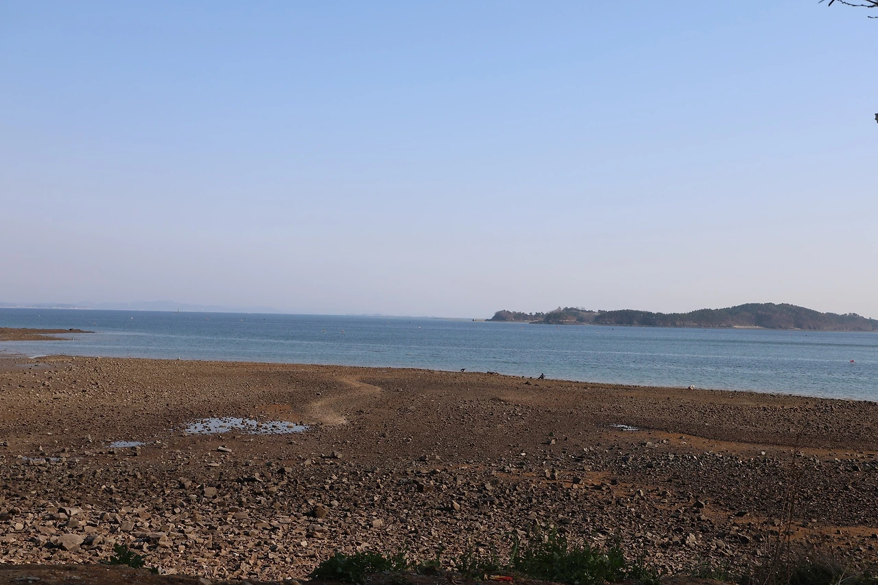 0R5A6106_новый размер.JPG