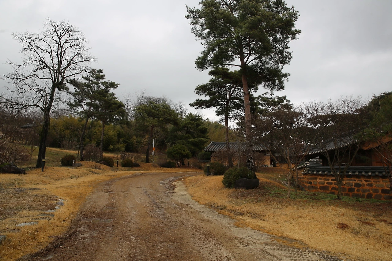 MG0A0484_новый размер.JPG