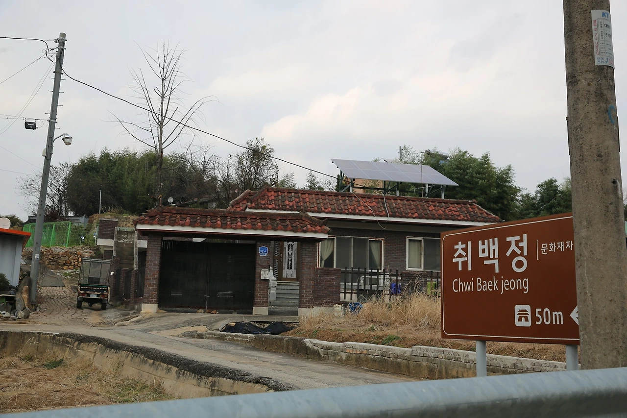 MG0A1237_новый размер.JPG