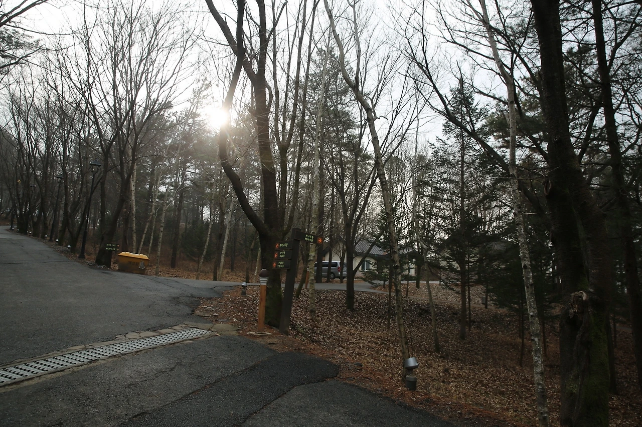 MG0A5476_новый размер.JPG