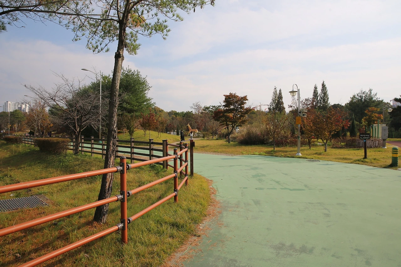 MG0A9664_новый размер.JPG