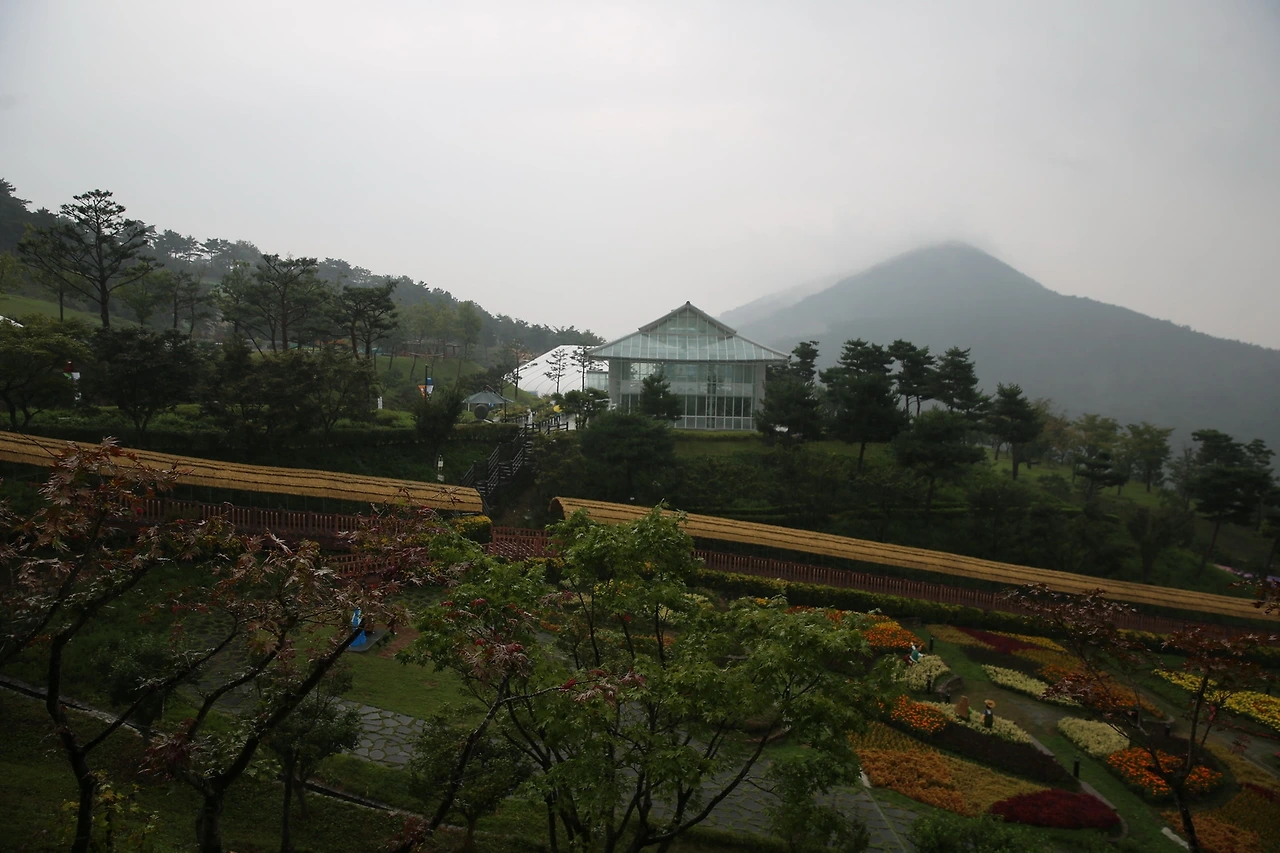 MG0A3064_новый размер.JPG