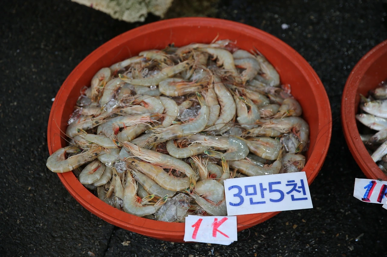 MG0A2519_новый размер.JPG