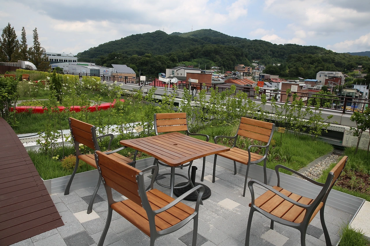 MG0A5442_новый размер.JPG