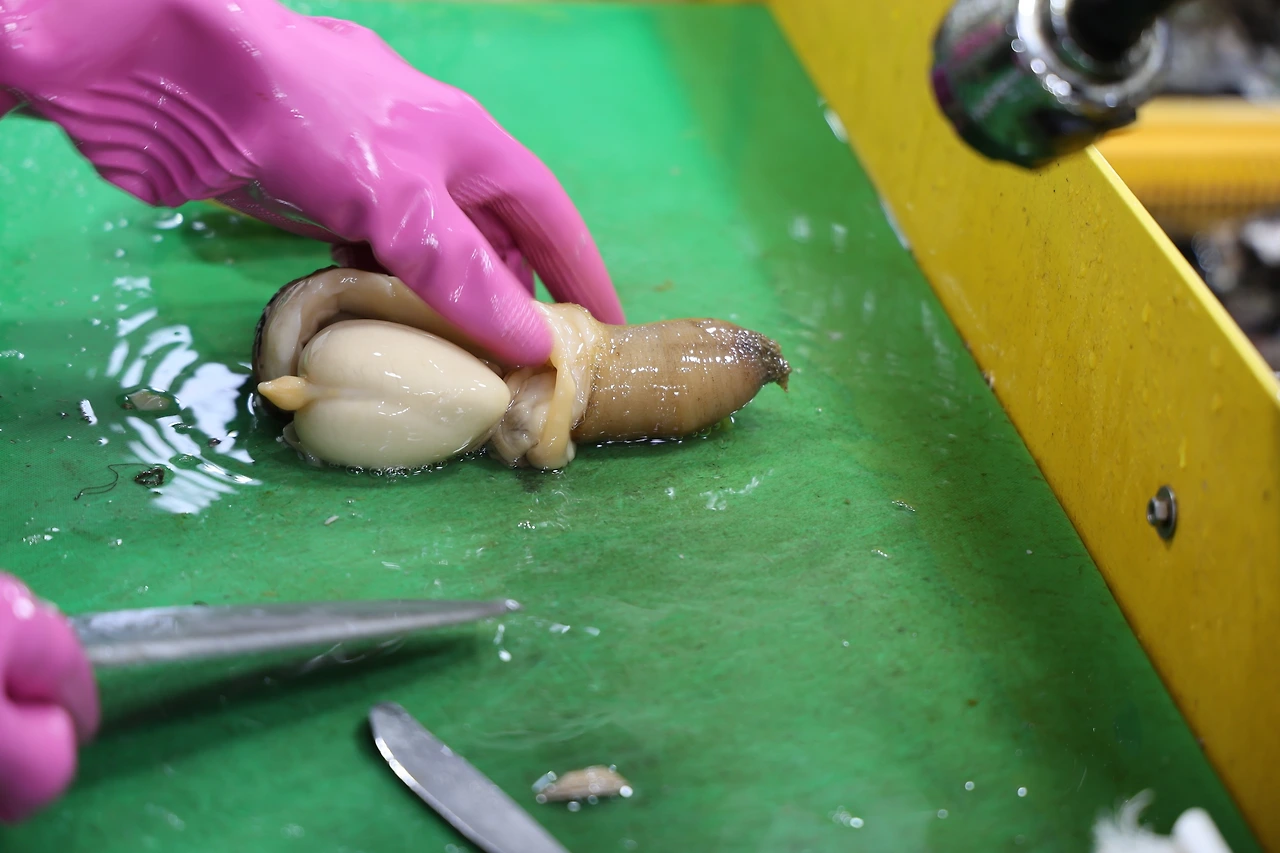 0R5A4300_новый размер.JPG