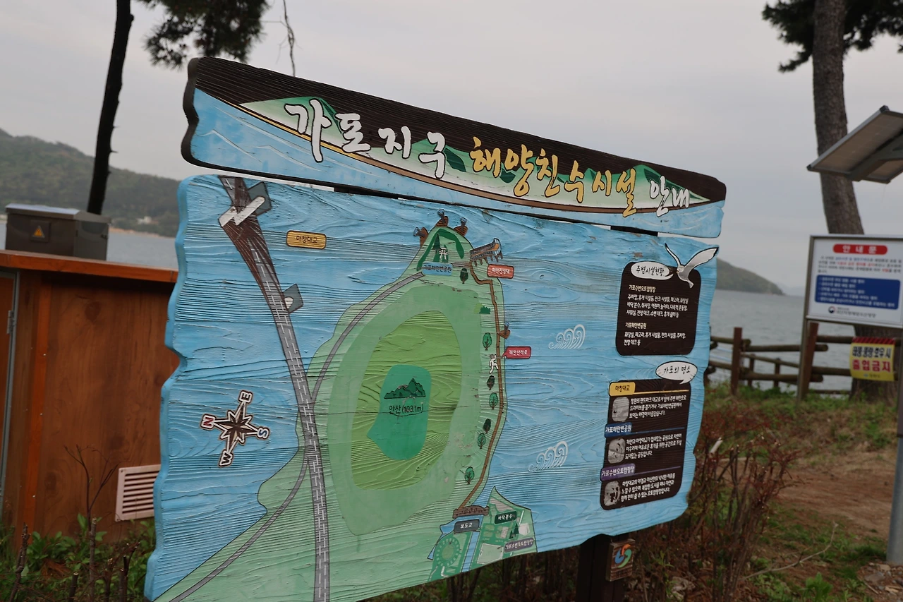 0R5A7808_новый размер.JPG