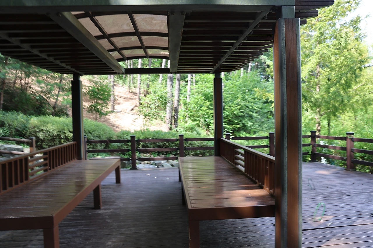 0R5A0196_новый размер.JPG