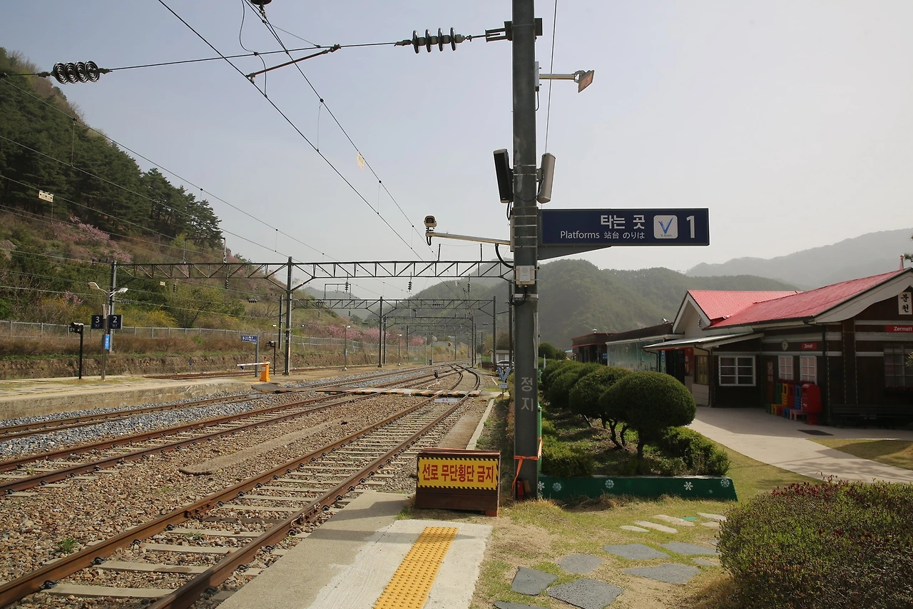 MG0A0057_новый размер.JPG